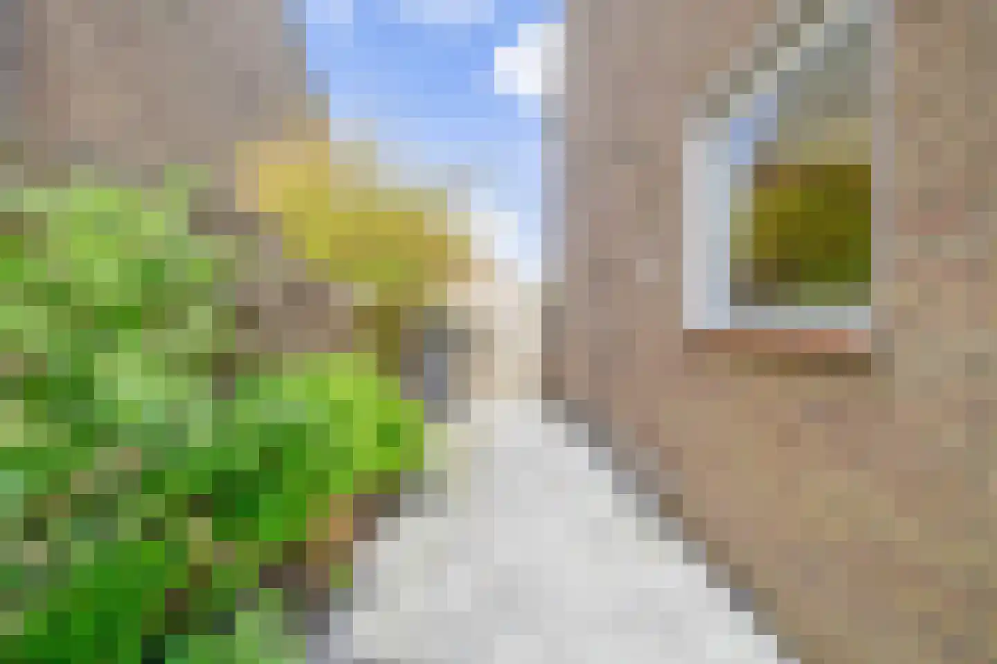 Dokter Bonstraat 88 Assendelft thumbnail 38