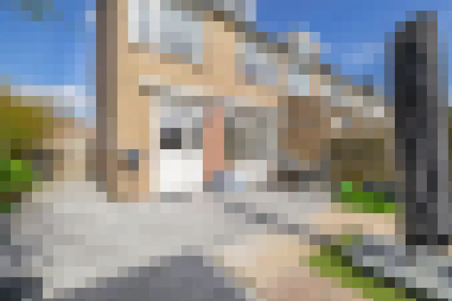 Dokter Bonstraat 88 Assendelft thumbnail 39