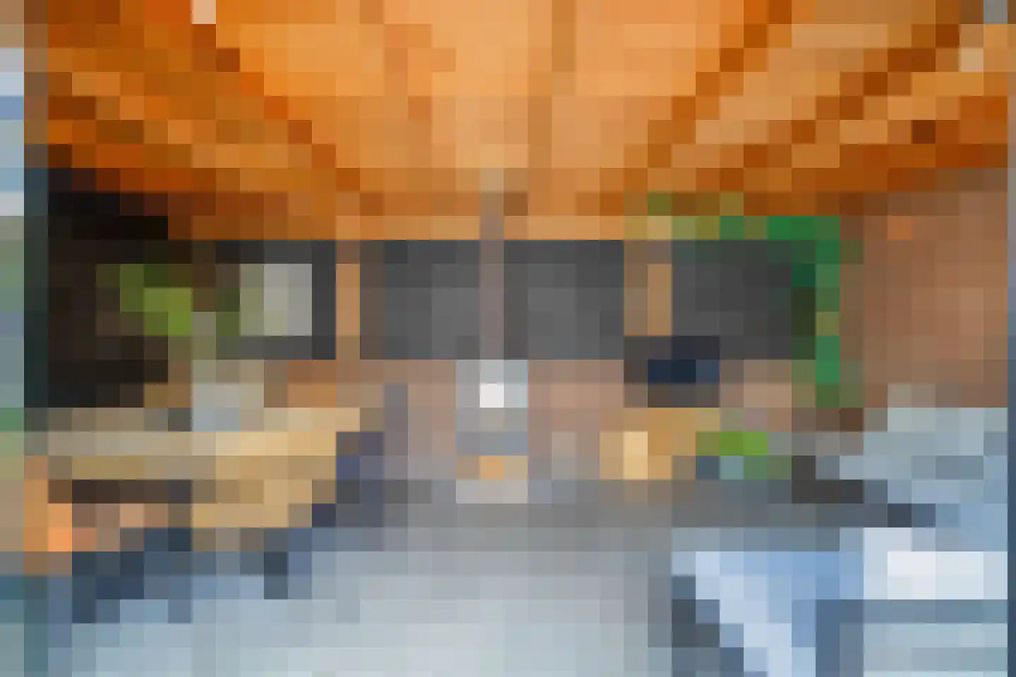 Dokter Bonstraat 88 Assendelft thumbnail 42