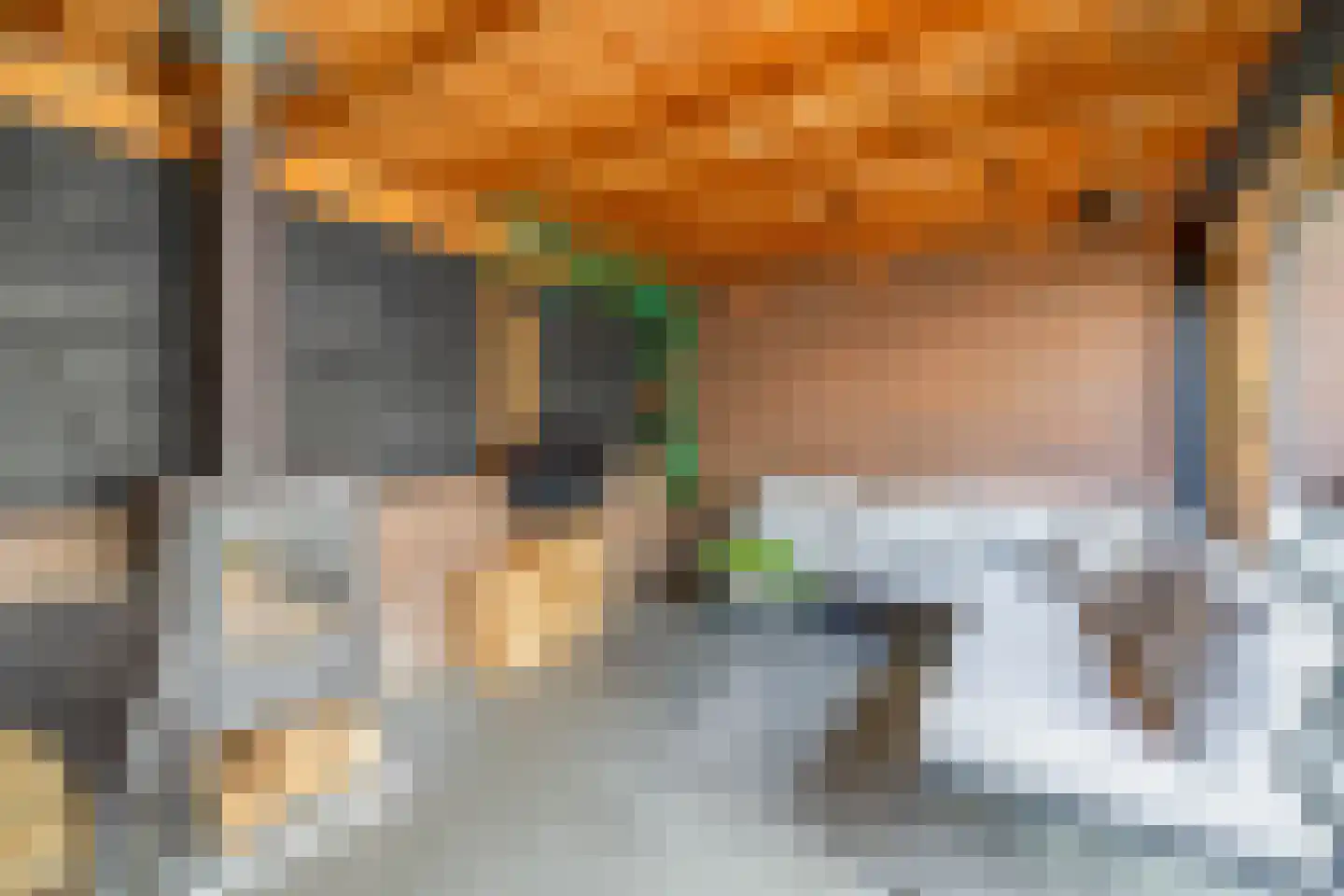 Dokter Bonstraat 88 Assendelft thumbnail 43