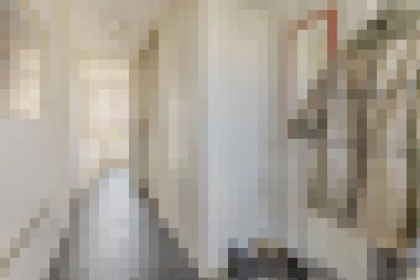Dokter Bonstraat 94 Assendelft thumbnail 14