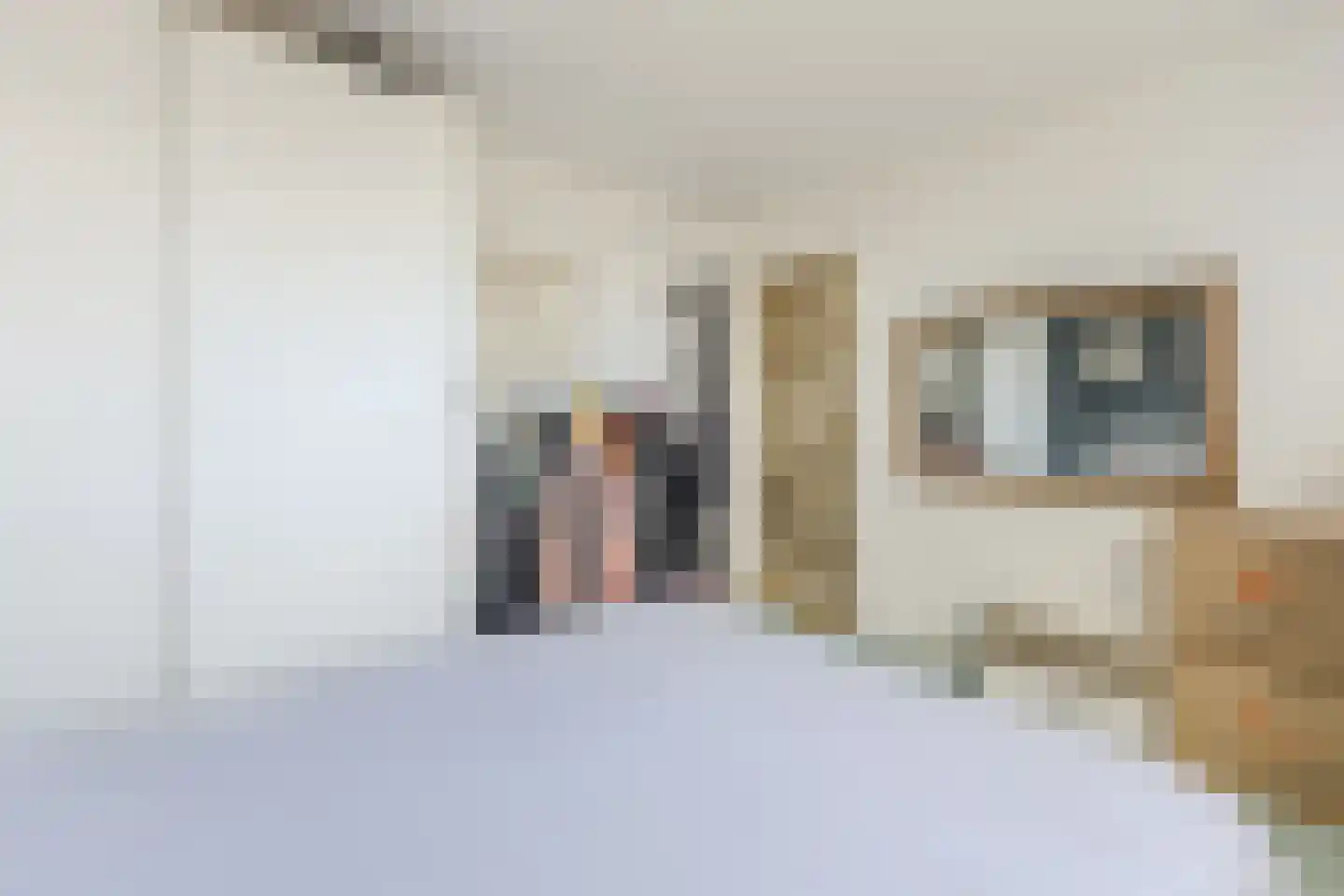 Dokter Bonstraat 94 Assendelft thumbnail 18