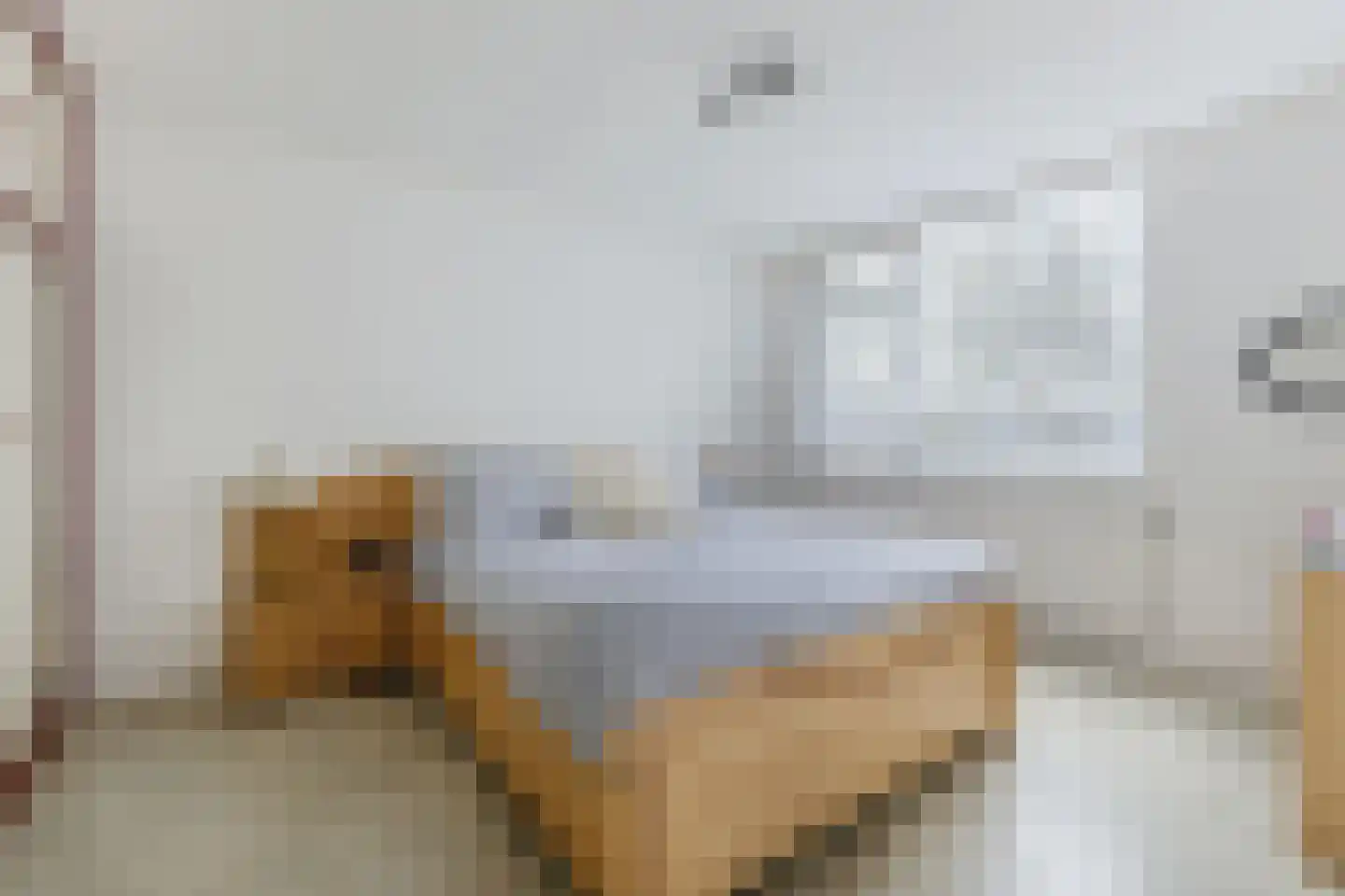 Dokter Bonstraat 94 Assendelft thumbnail 19