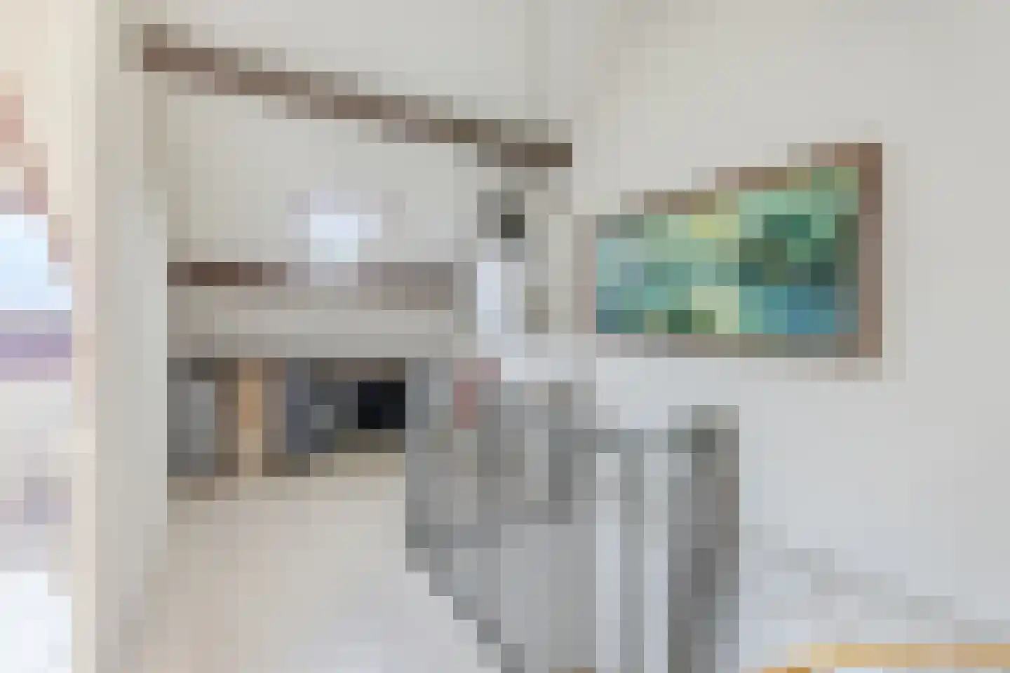 Dokter Bonstraat 94 Assendelft thumbnail 25