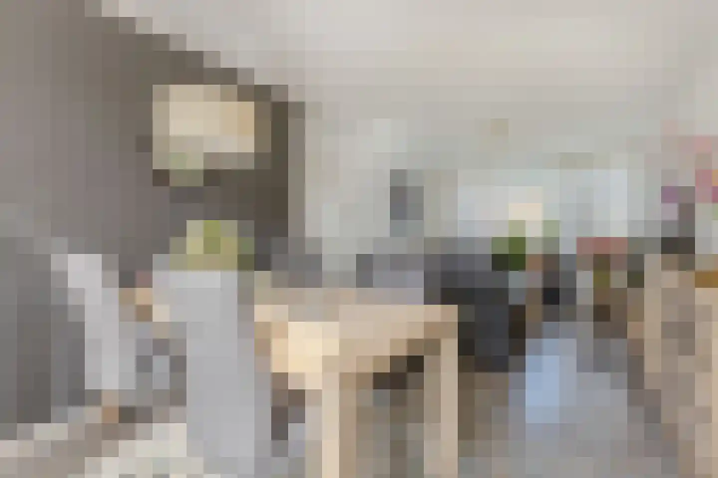 Dokter Bonstraat 94 Assendelft thumbnail 5