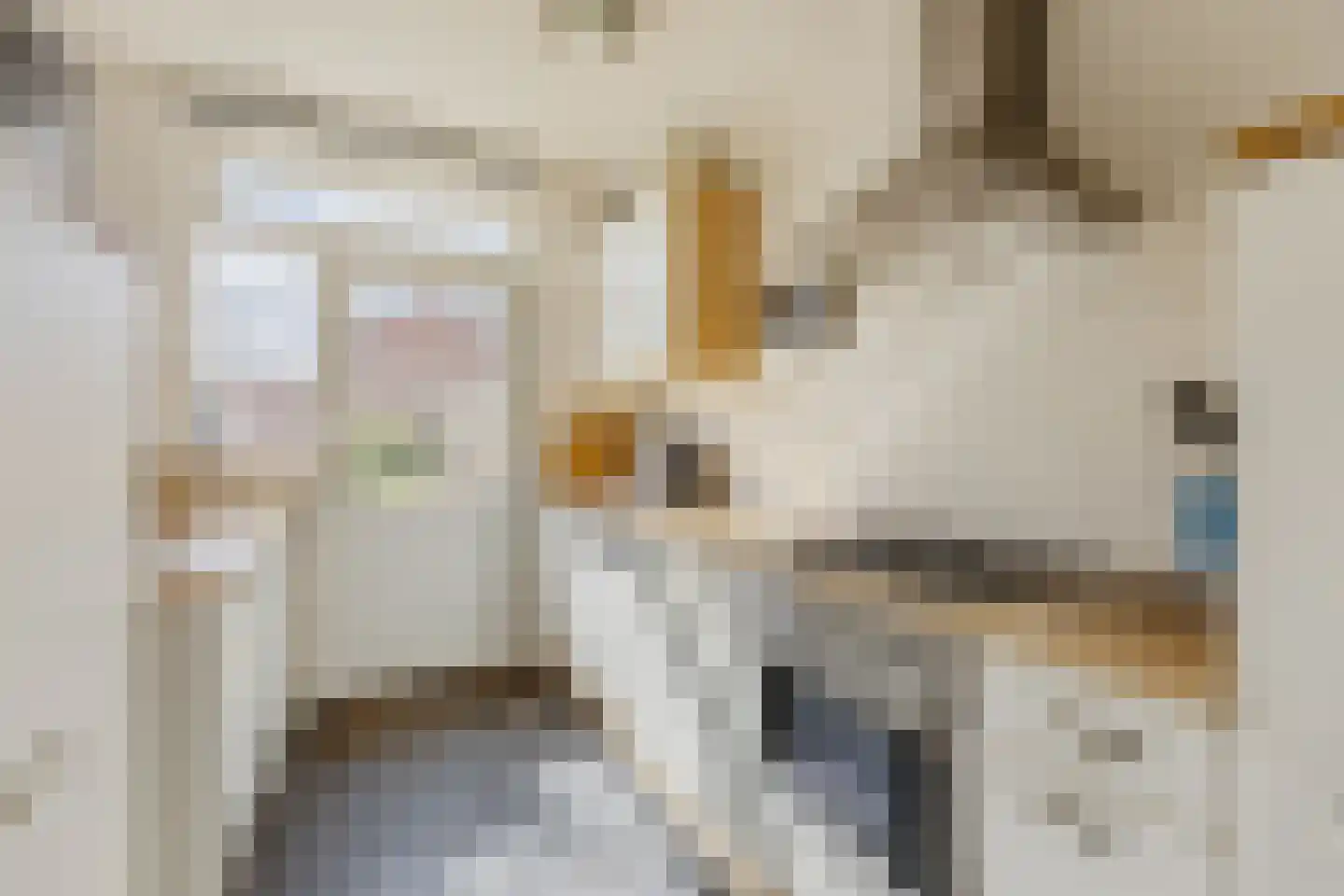 Dokter Bonstraat 94 Assendelft thumbnail 6