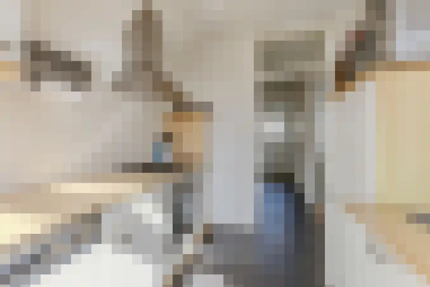 Dokter Bonstraat 94 Assendelft thumbnail 8