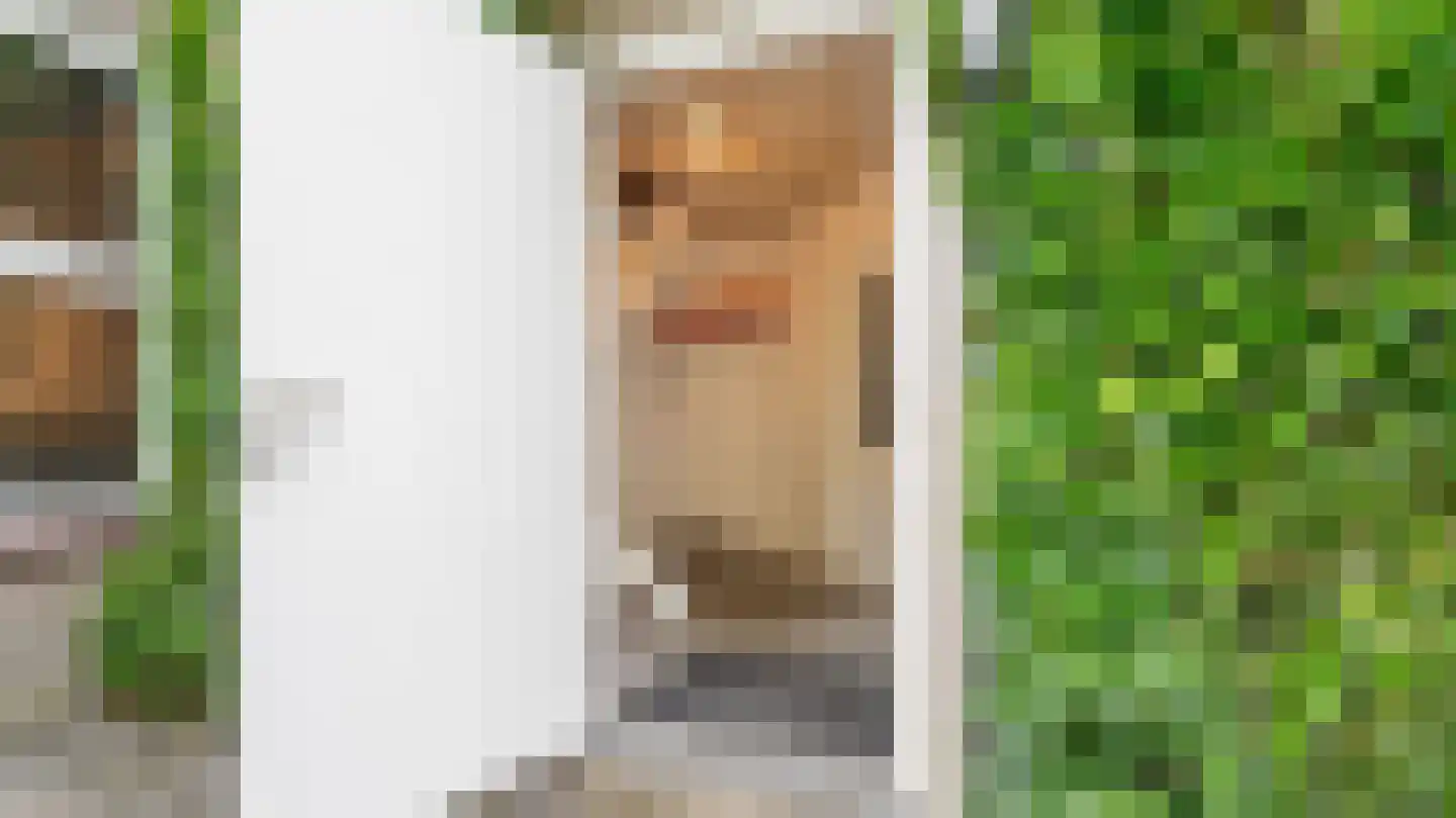 Dokter Boomstraat 1 a Vriezenveen thumbnail 16