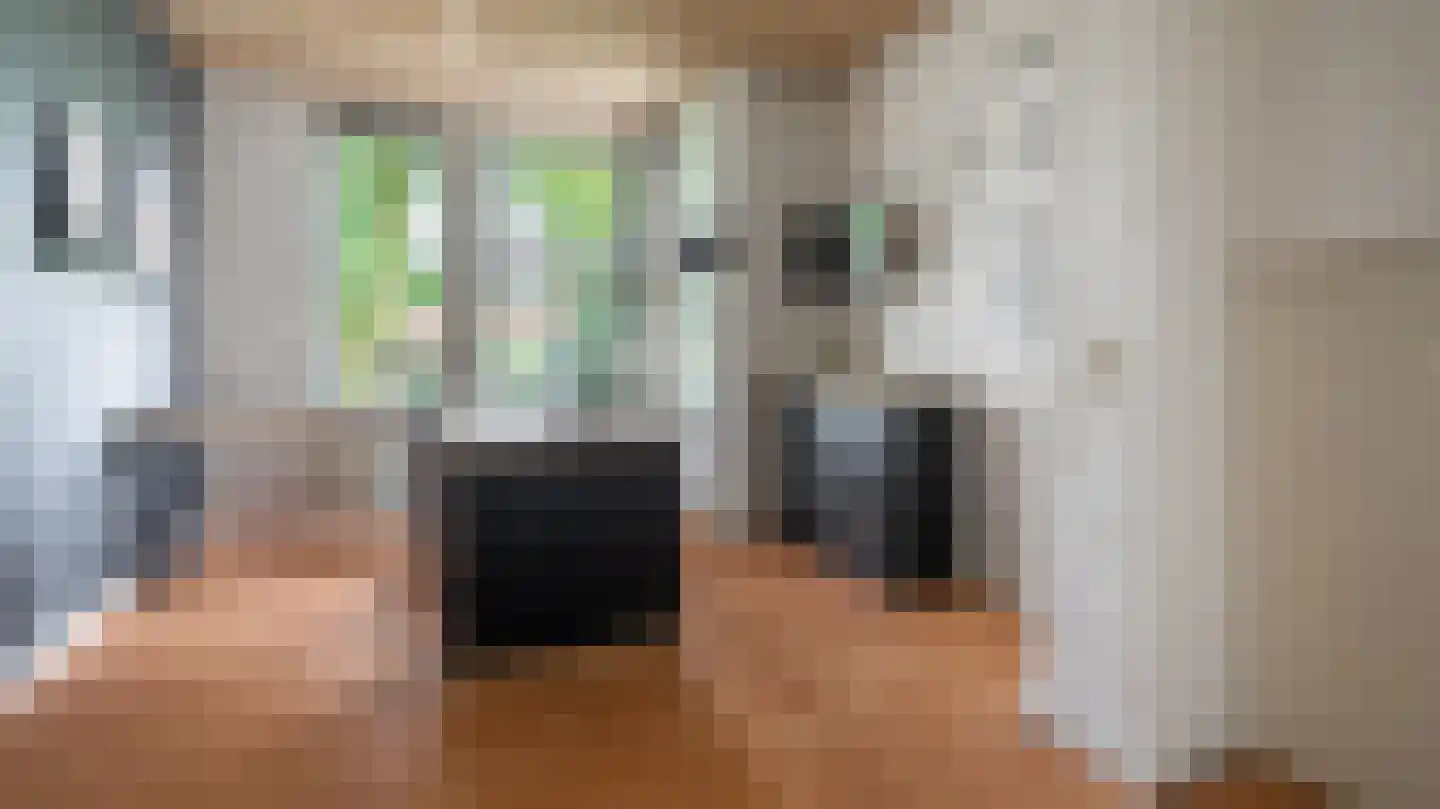 Dokter Boomstraat 1 a Vriezenveen thumbnail 28
