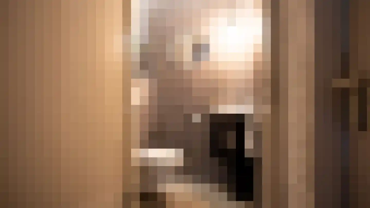 Dokter Boomstraat 1 a Vriezenveen thumbnail 33