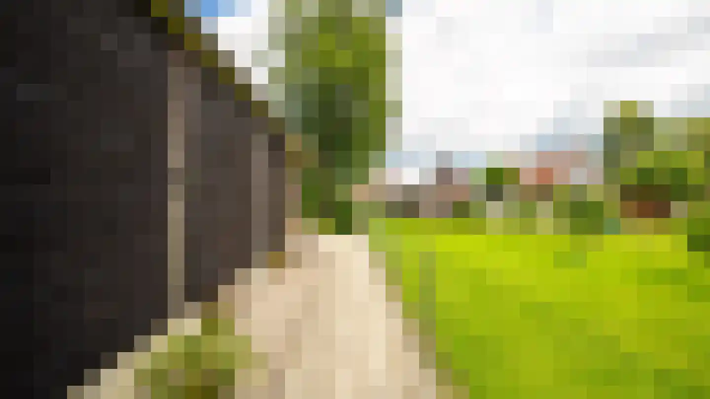 Dokter Boomstraat 1 a Vriezenveen thumbnail 43