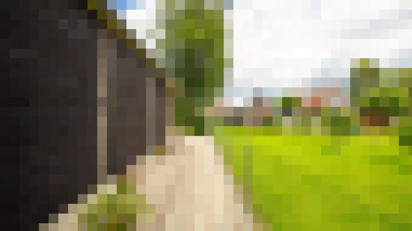 Dokter Boomstraat 1 a Vriezenveen thumbnail 44