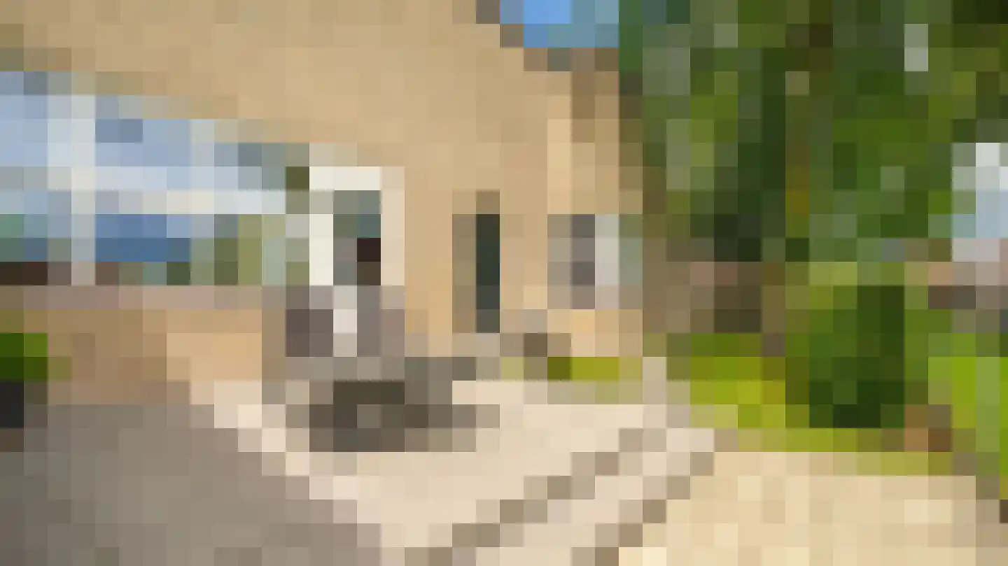 Dokter Boomstraat 1 a Vriezenveen thumbnail 45
