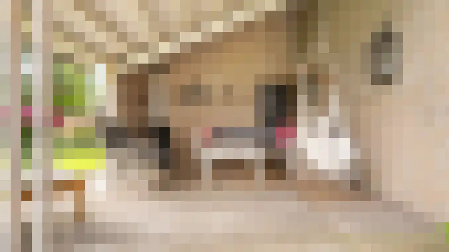 Dokter Boomstraat 1 a Vriezenveen thumbnail 46