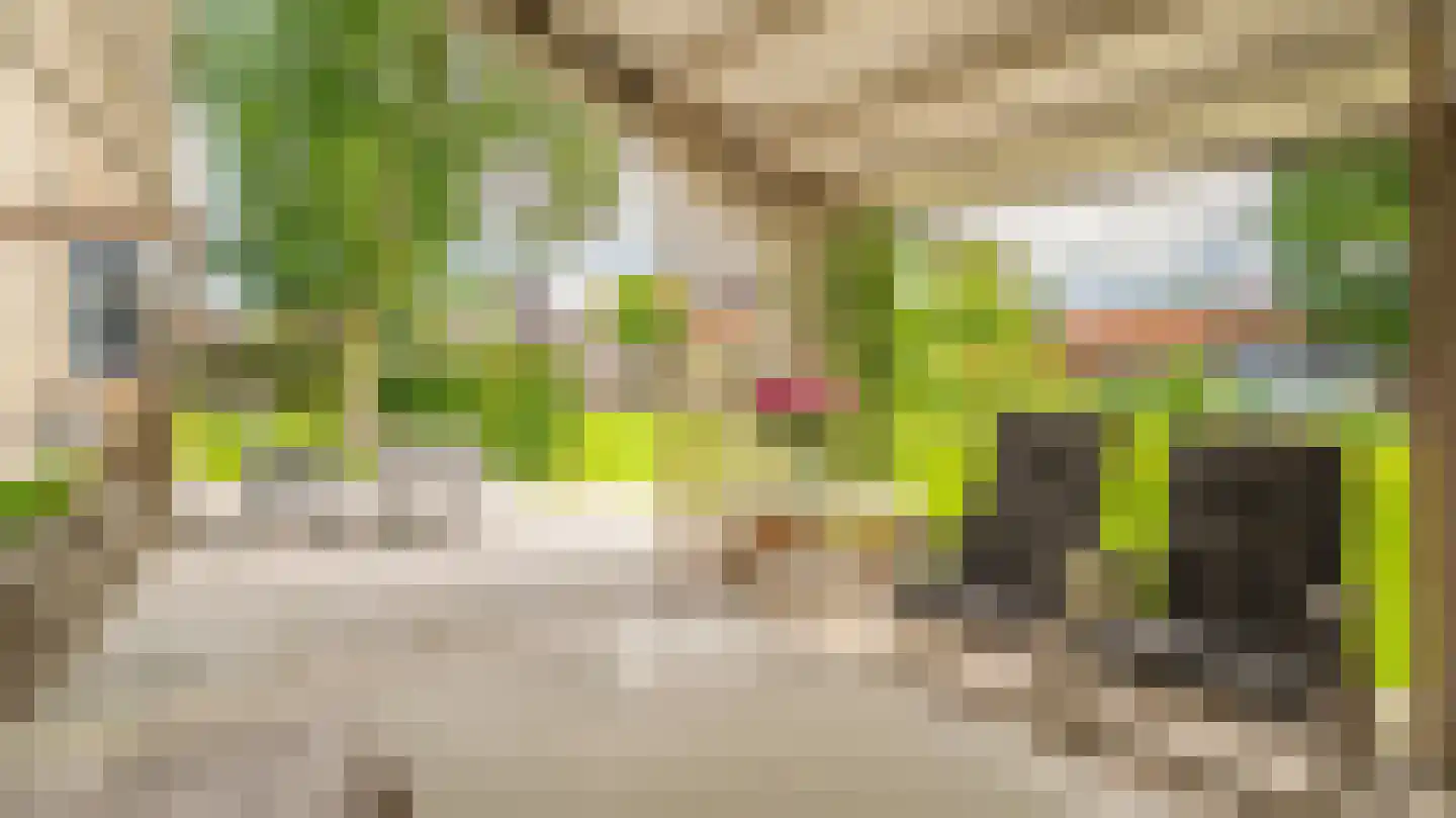 Dokter Boomstraat 1 a Vriezenveen thumbnail 47