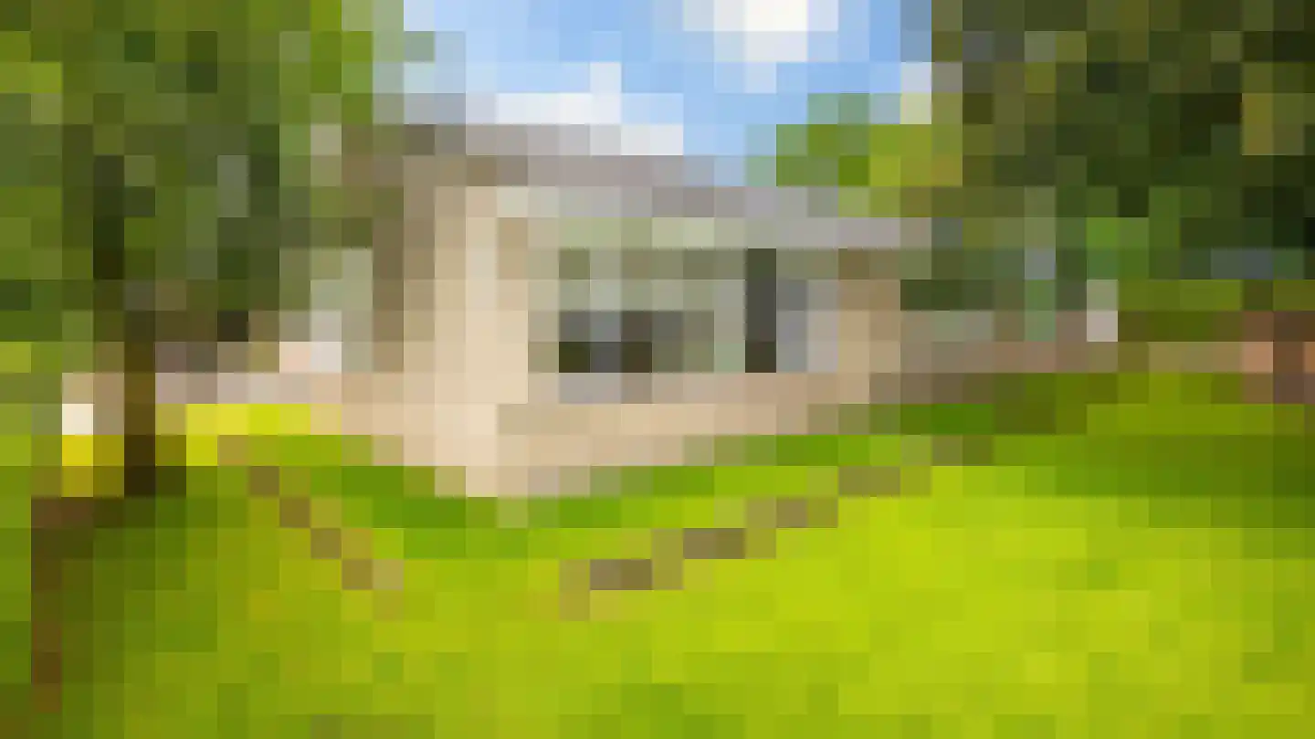 Dokter Boomstraat 1 a Vriezenveen thumbnail 49