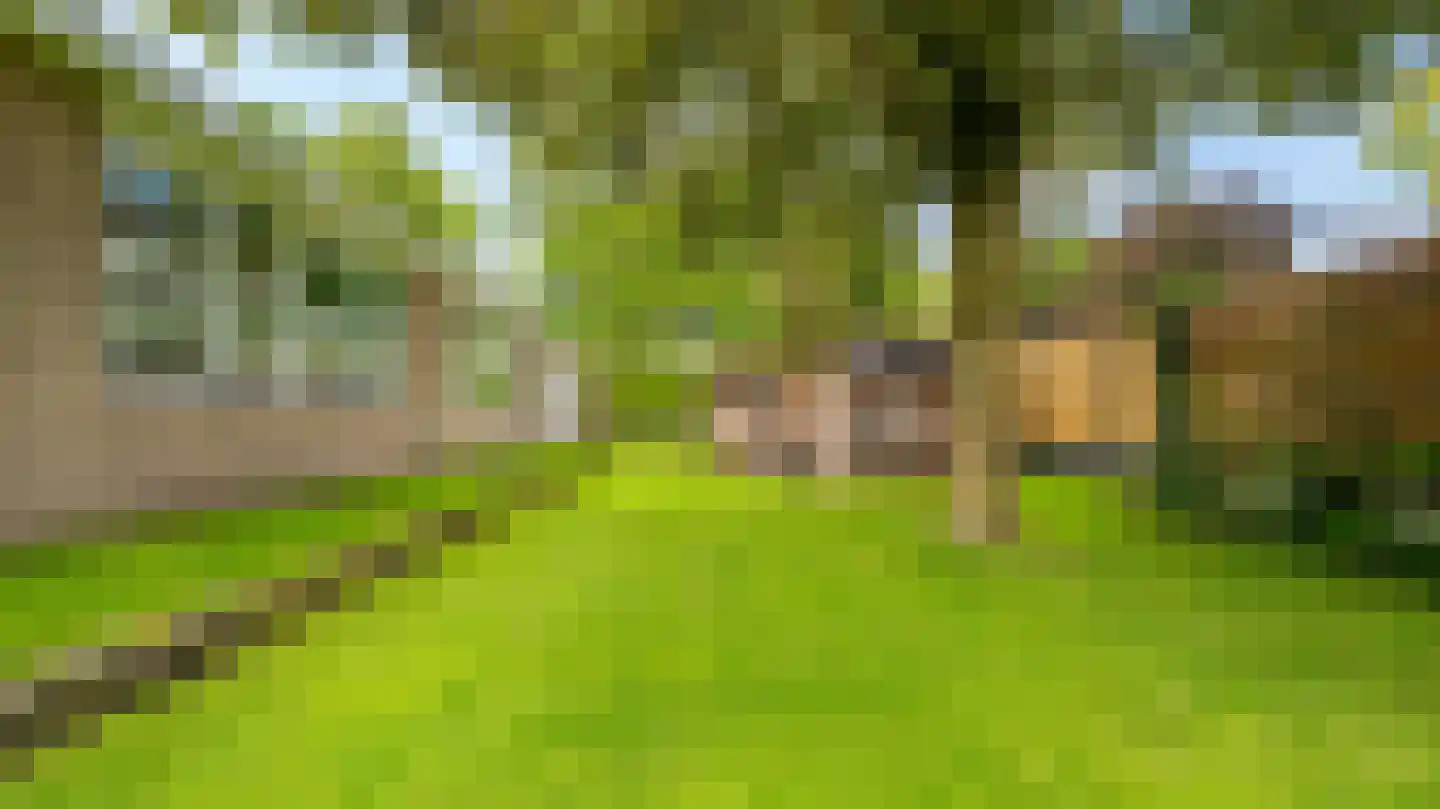 Dokter Boomstraat 1 a Vriezenveen thumbnail 50