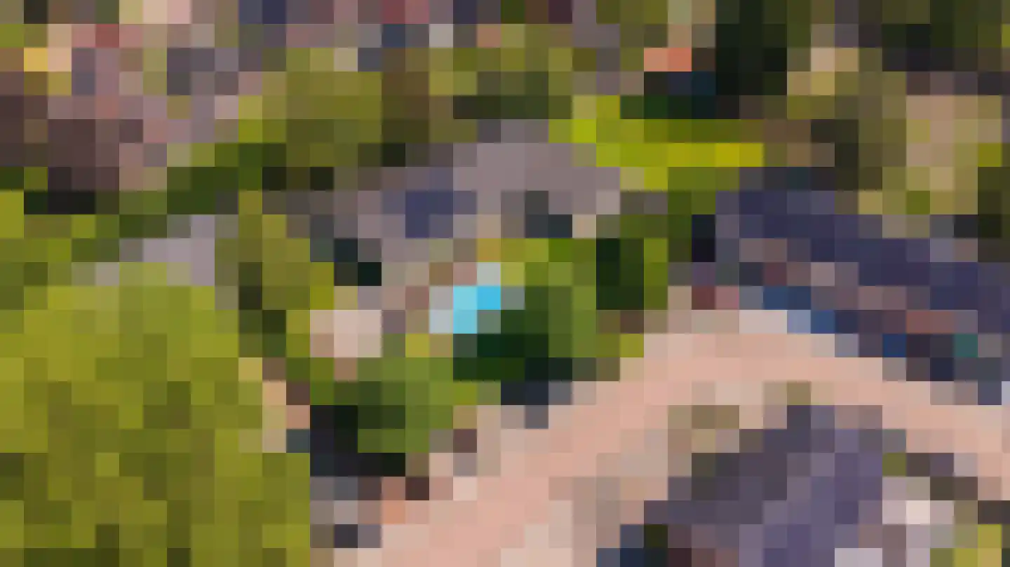 Dokter Boomstraat 1 a Vriezenveen thumbnail 6