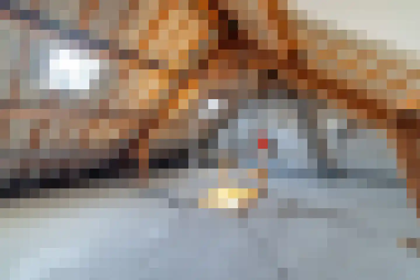 Dokter Boomstraat 26 Vriezenveen thumbnail 18