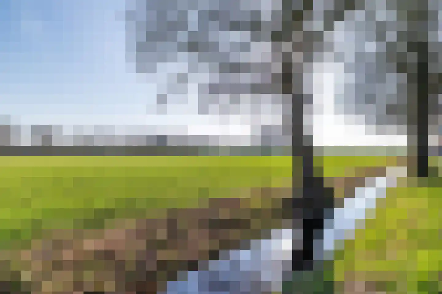 Dokter Boomstraat 26 Vriezenveen thumbnail 25