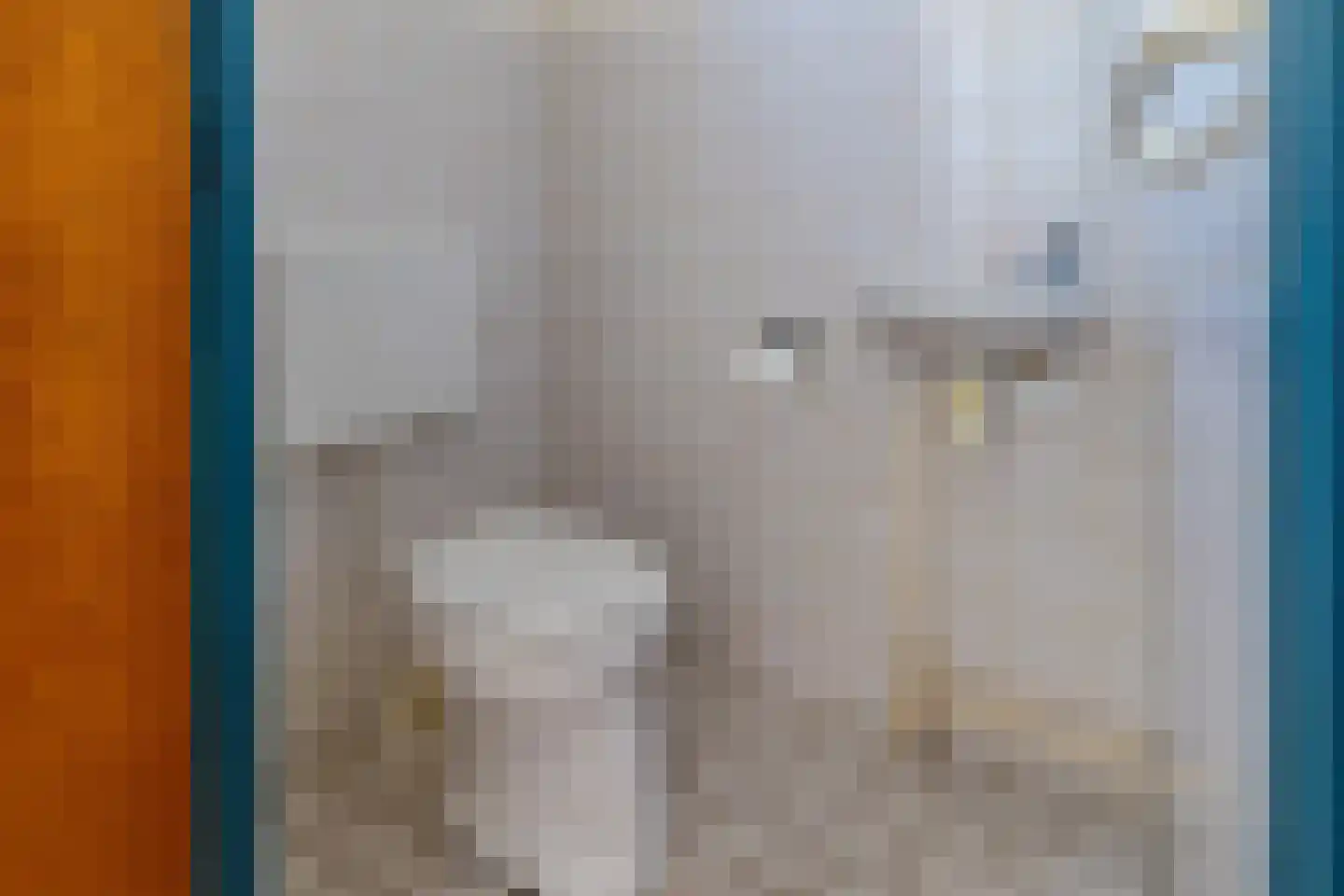 Dokter Boomstraat 26 Vriezenveen thumbnail 5