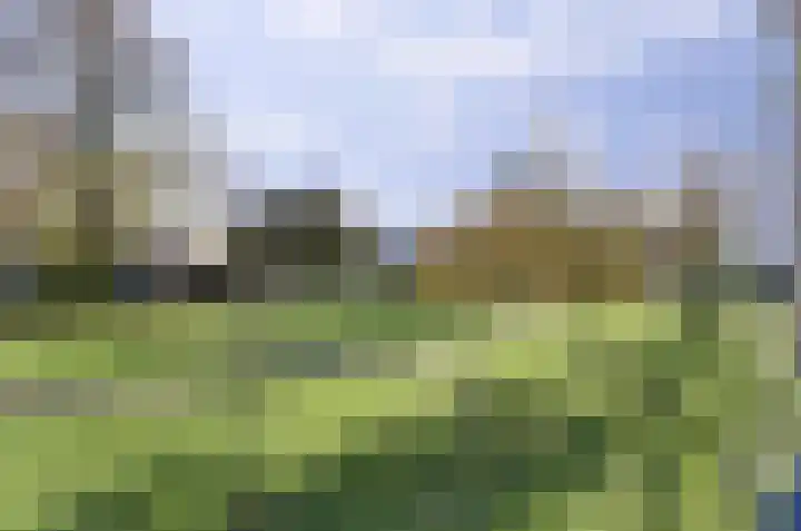 Dokter Bosmanshof 22 Huissen thumbnail 32