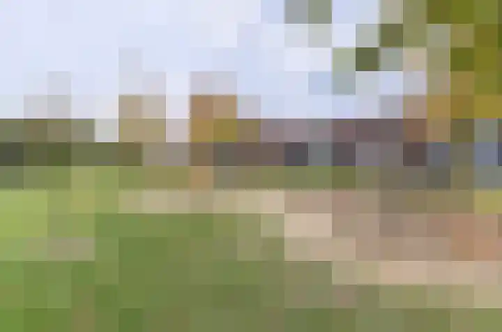 Dokter Bosmanshof 22 Huissen thumbnail 33
