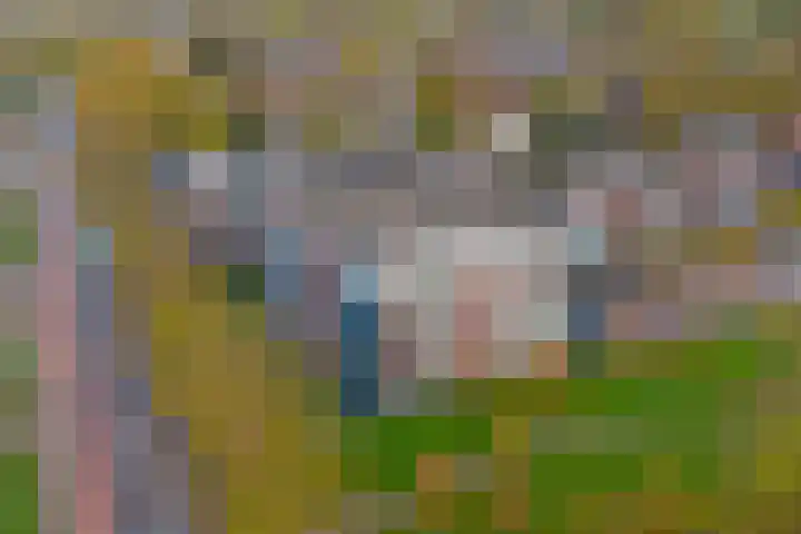 Dokter Bosmanshof 22 Huissen thumbnail 35