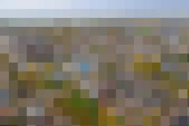 Dokter Bosmanshof 22 Huissen thumbnail 36