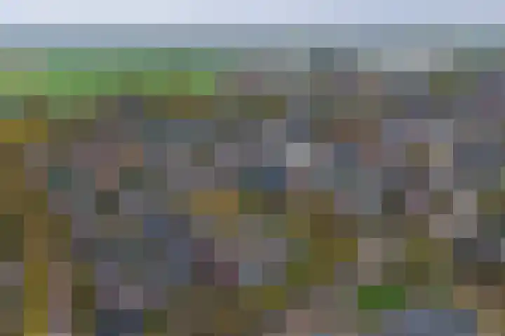 Dokter Bosmanshof 22 Huissen thumbnail 37