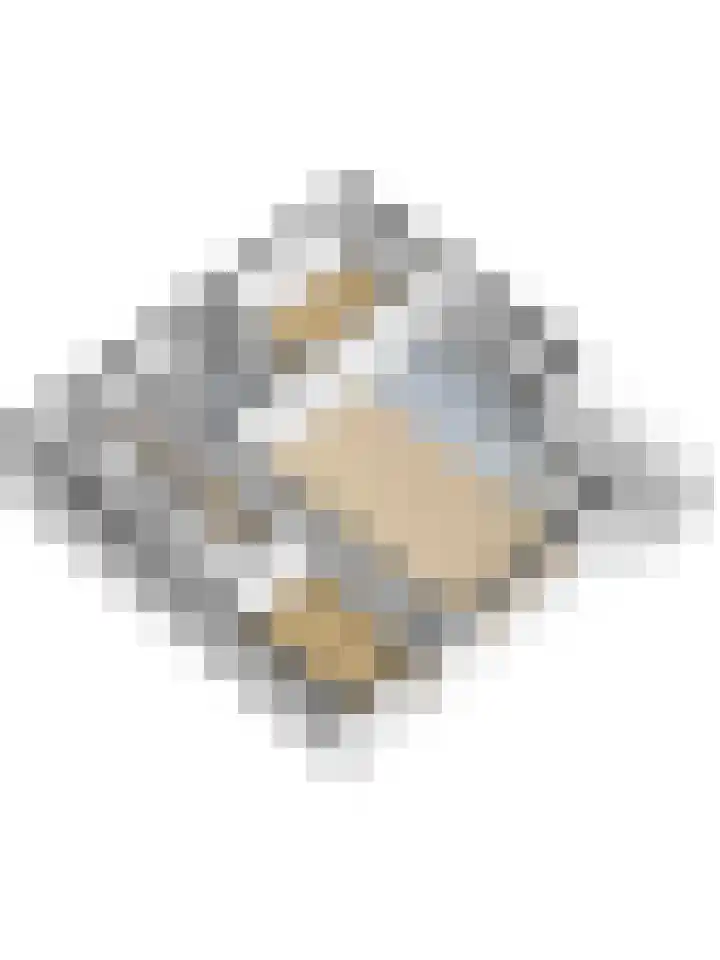 Dokter Bosmanshof 22 Huissen thumbnail 38