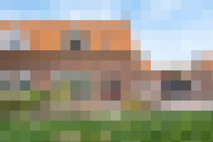Dokter Boutkanstraat 22 Heeswijk-Dinther thumbnail 10