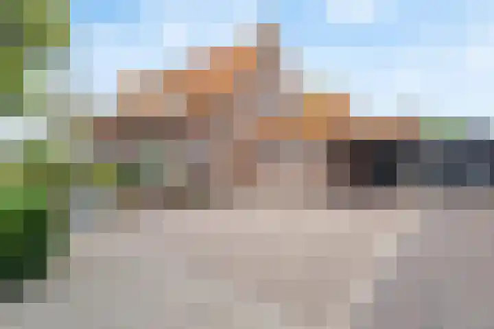 Dokter Boutkanstraat 22 Heeswijk-Dinther thumbnail 11