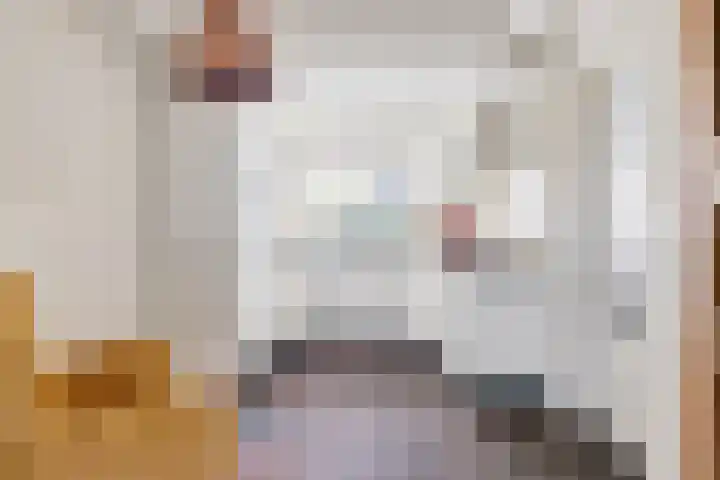 Dokter Boutkanstraat 22 Heeswijk-Dinther thumbnail 4