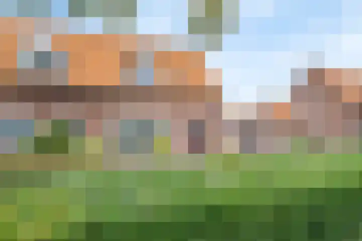 Dokter Boutkanstraat 22 Heeswijk-Dinther thumbnail 52