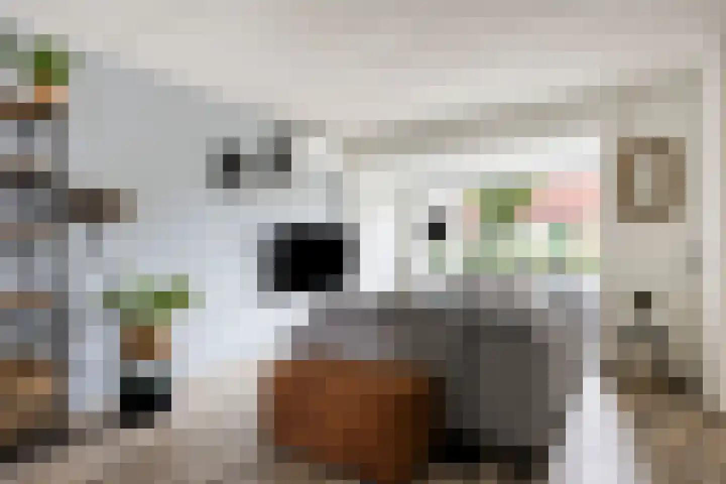 Dokter Braunstraat 14 Achterveld thumbnail 12
