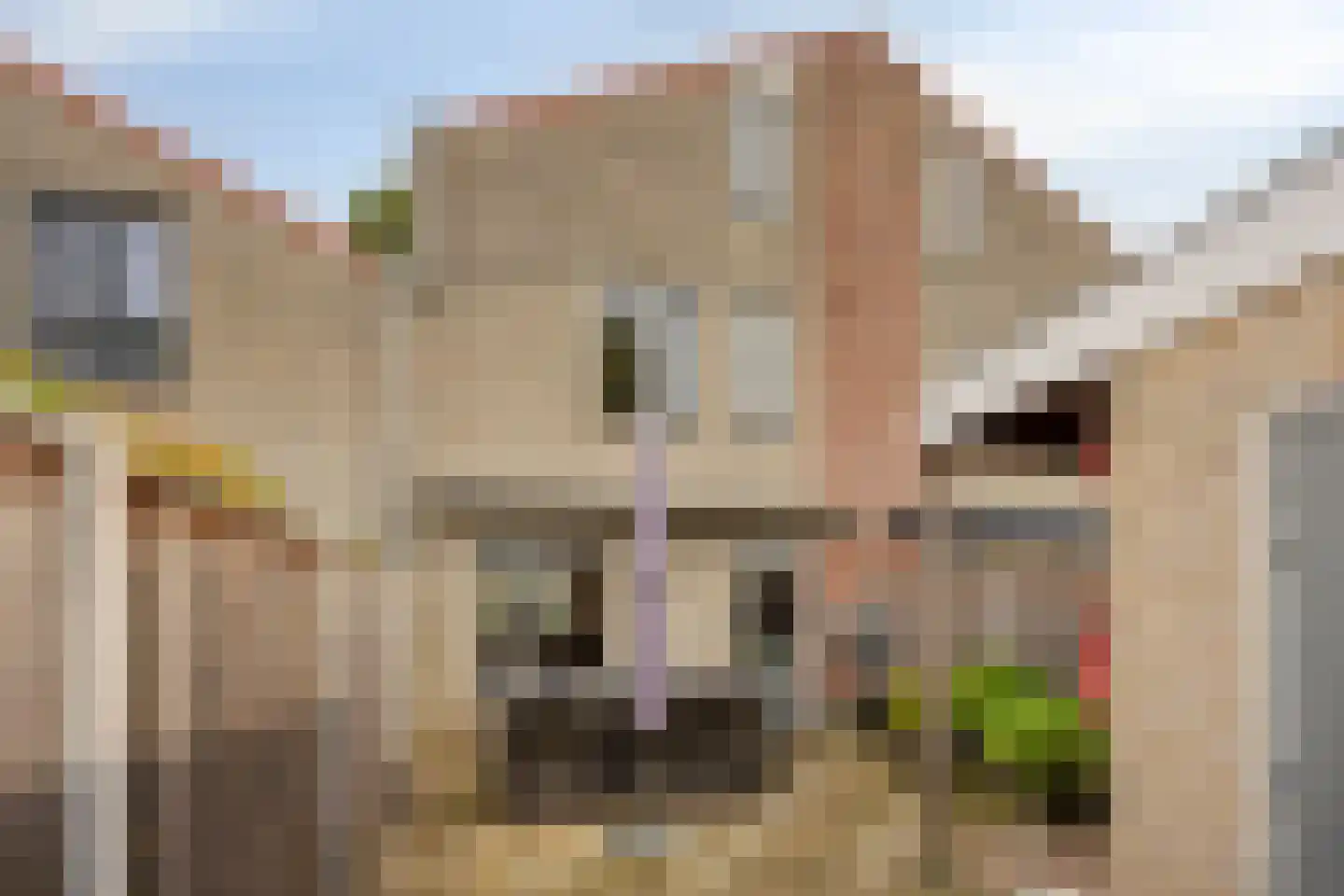 Dokter Braunstraat 14 Achterveld thumbnail 33