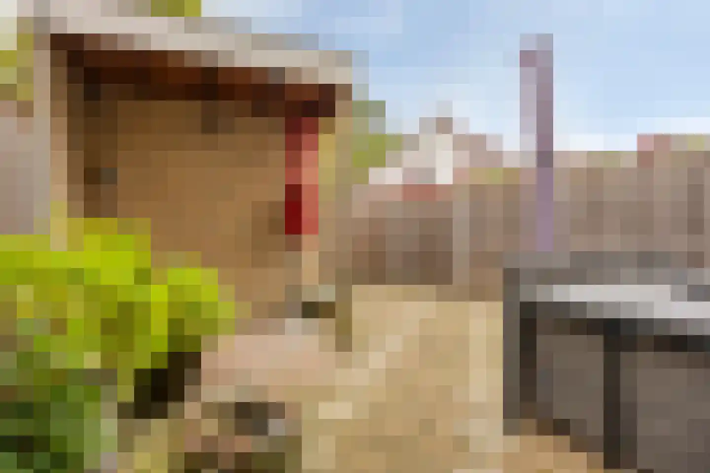 Dokter Braunstraat 14 Achterveld thumbnail 35