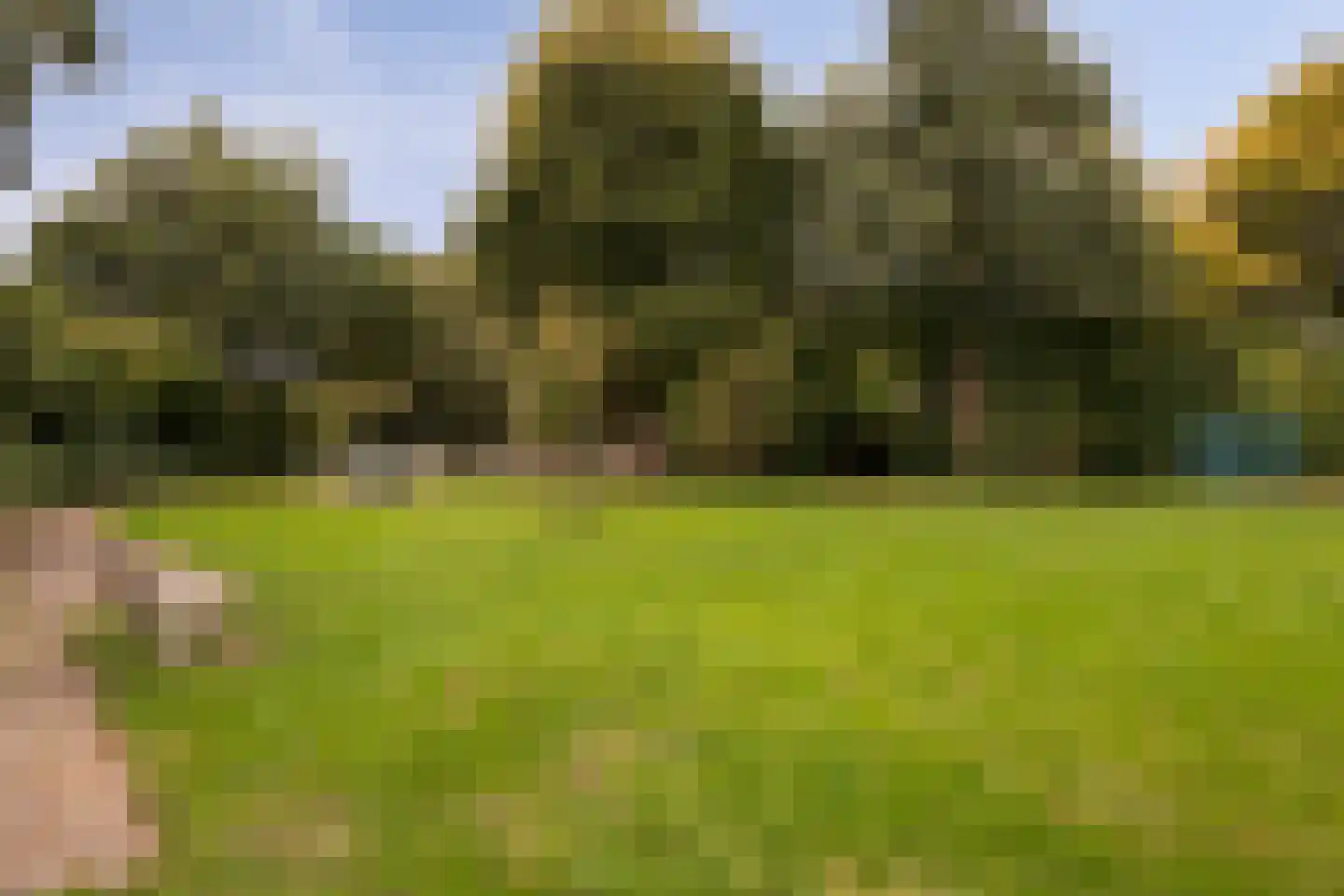 Dokter Braunstraat 14 Achterveld thumbnail 40