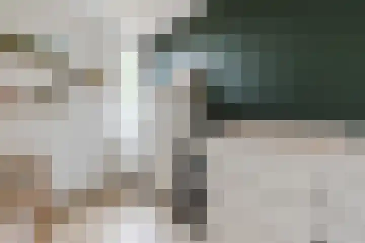 Dokter Braunstraat 6 Achterveld thumbnail 18