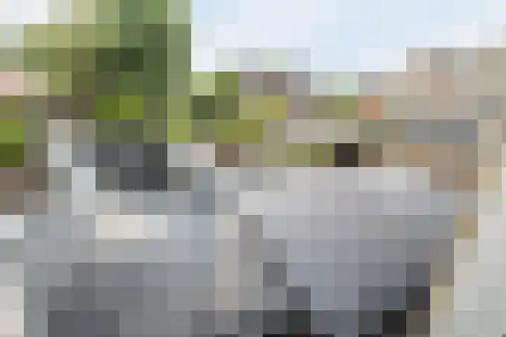 Dokter Braunstraat 6 Achterveld thumbnail 26