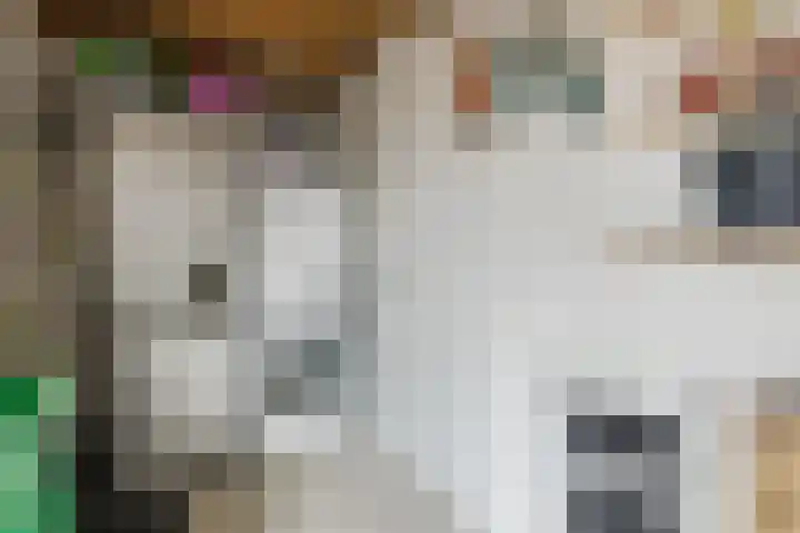Dokter Braunstraat 6 Achterveld thumbnail 29