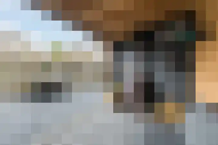 Dokter Braunstraat 6 Achterveld thumbnail 31