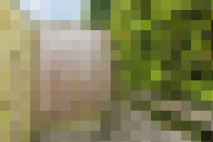 Dokter Braunstraat 6 Achterveld thumbnail 34