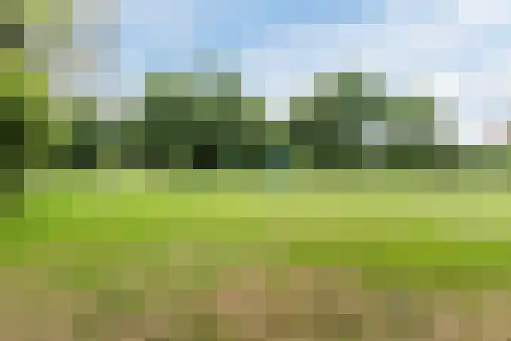 Dokter Braunstraat 6 Achterveld thumbnail 35
