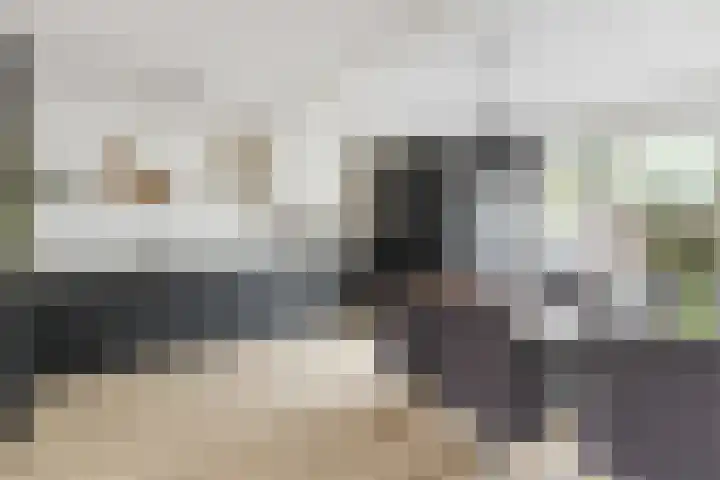 Dokter Braunstraat 6 Achterveld thumbnail 8