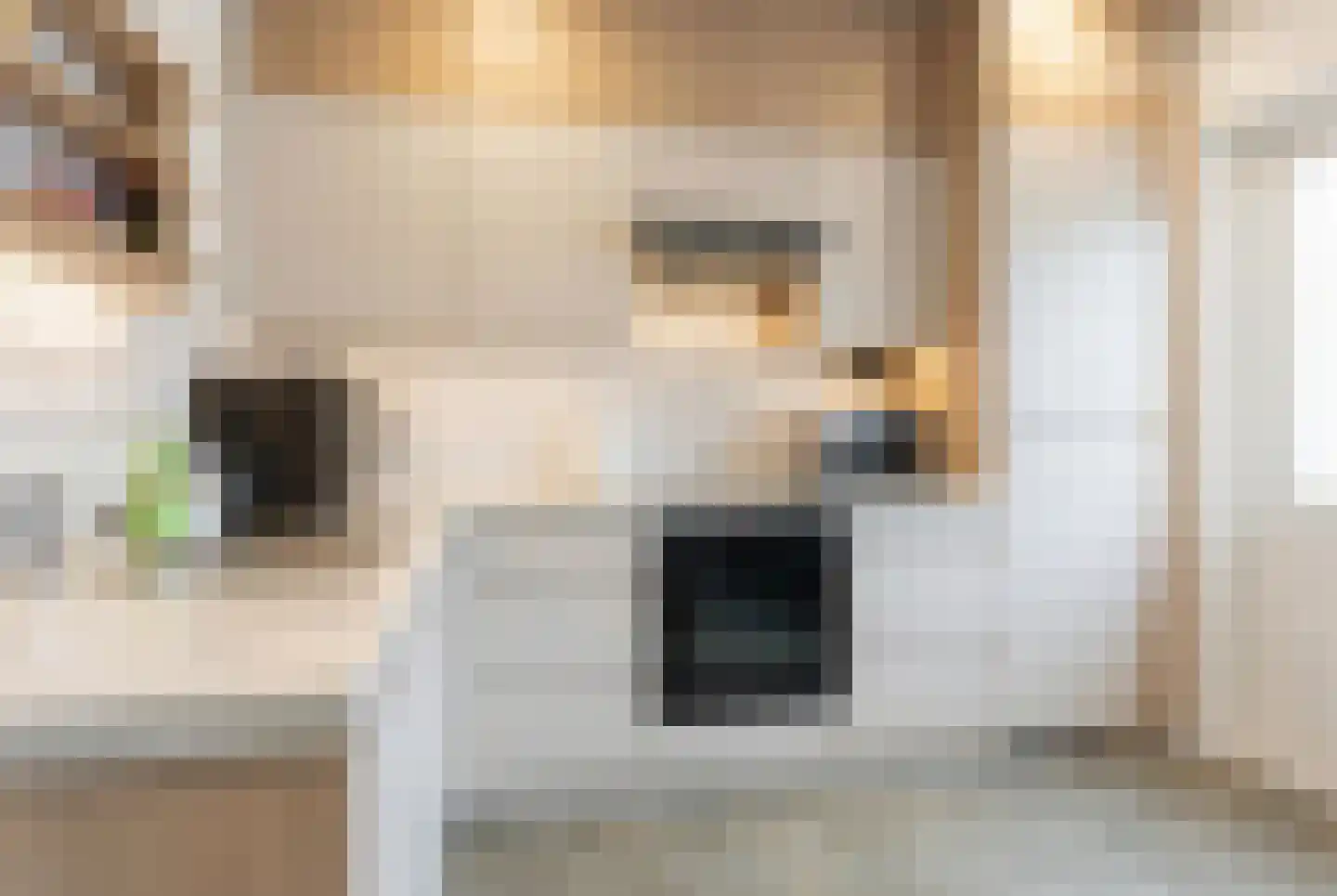 Dokter Broodmanstraat 13 Breskens thumbnail 13