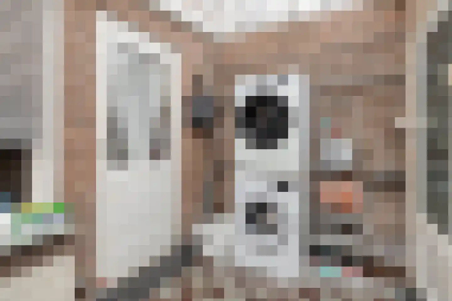 Dokter Broodmanstraat 13 Breskens thumbnail 15