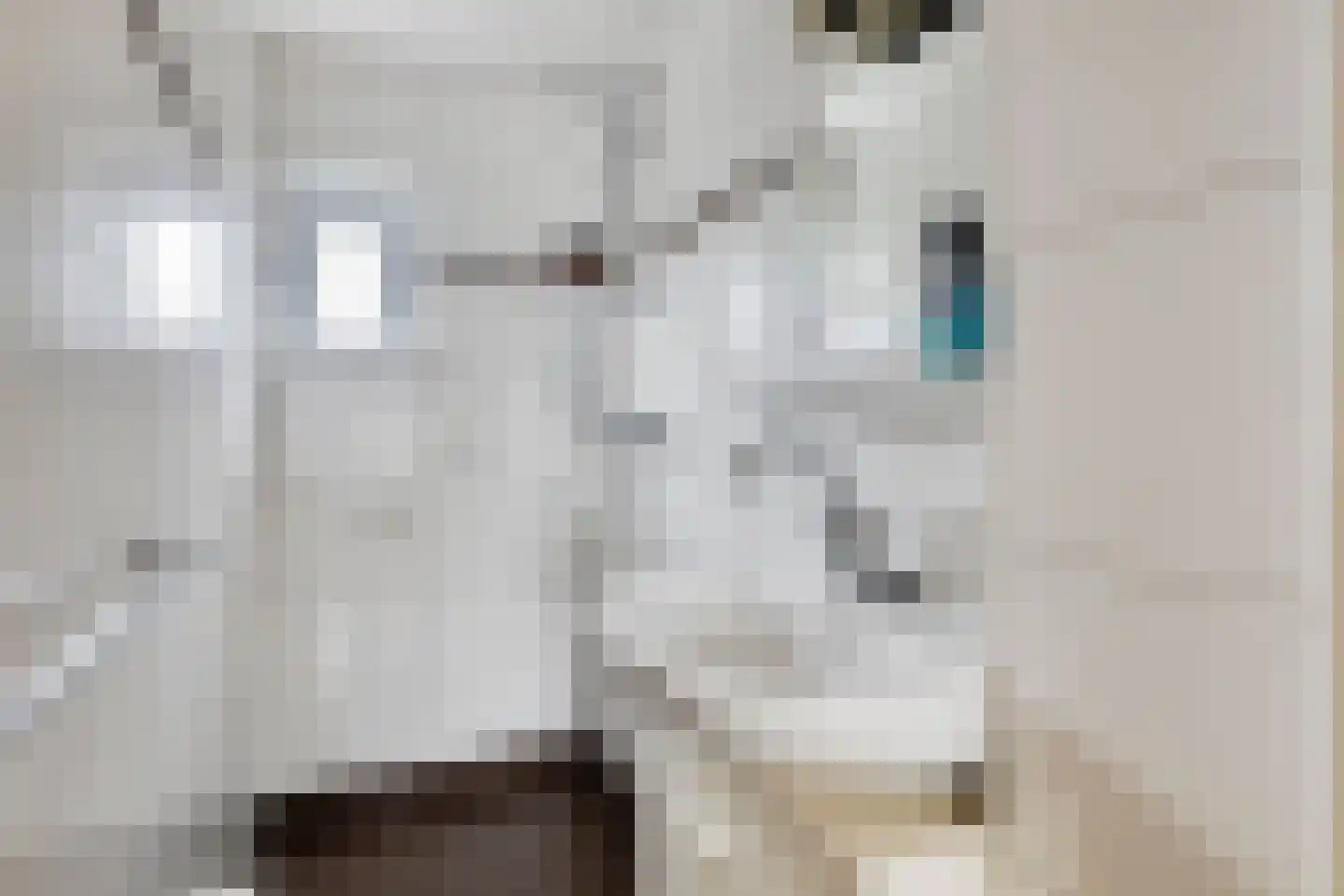 Dokter Broodmanstraat 13 Breskens thumbnail 20