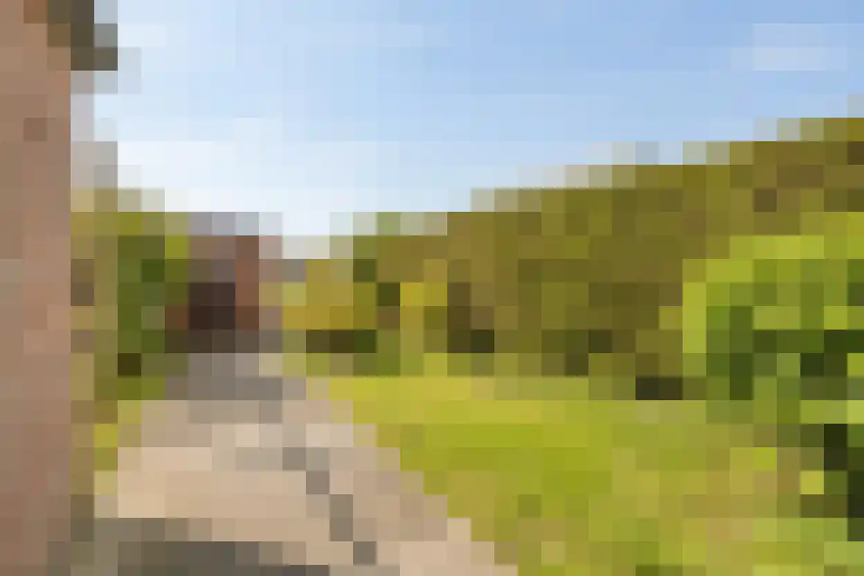 Dokter Broodmanstraat 13 Breskens thumbnail 24